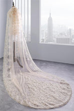 Load image into Gallery viewer, Long Single Tier Bling Bling Sequins Applique Lace Tulle Wedding Veils for Brides H16
